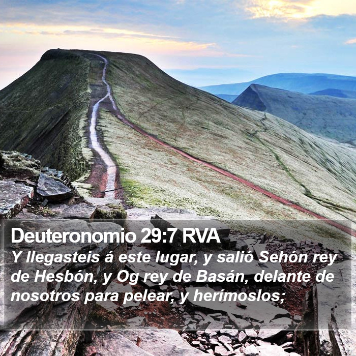 Deuteronomio 29:7 RVA Bible Study