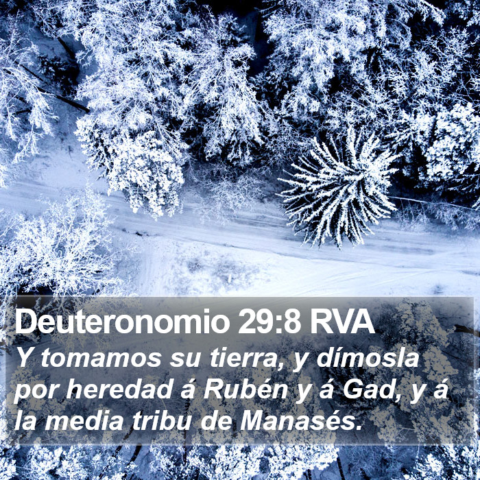 Deuteronomio 29:8 RVA Bible Study