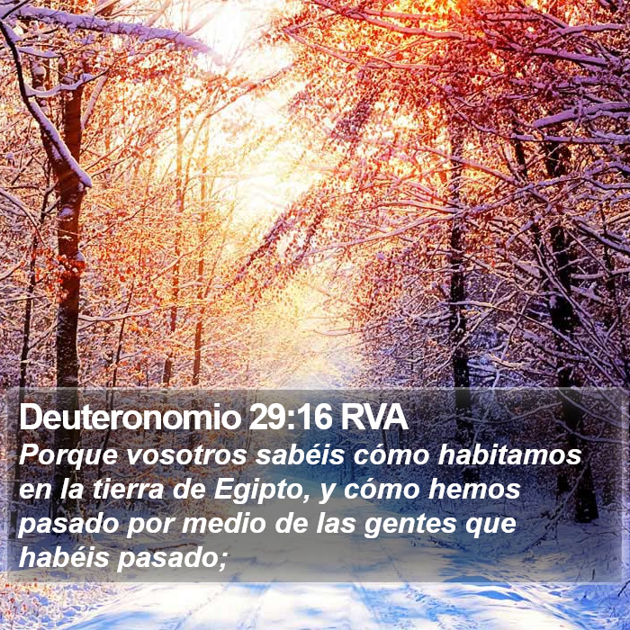 Deuteronomio 29:16 RVA Bible Study