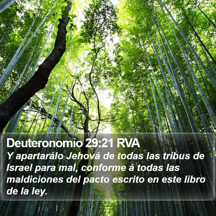 Deuteronomio 29:21 RVA Bible Study