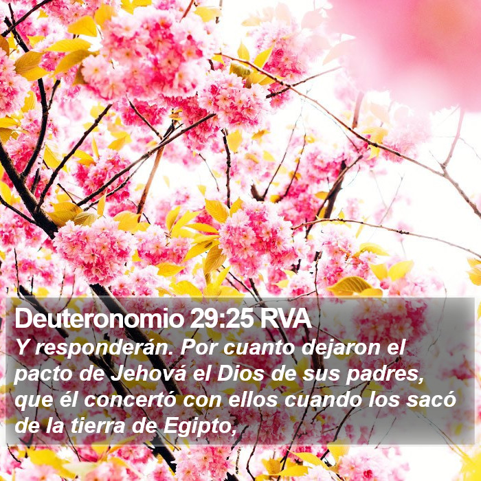 Deuteronomio 29:25 RVA Bible Study