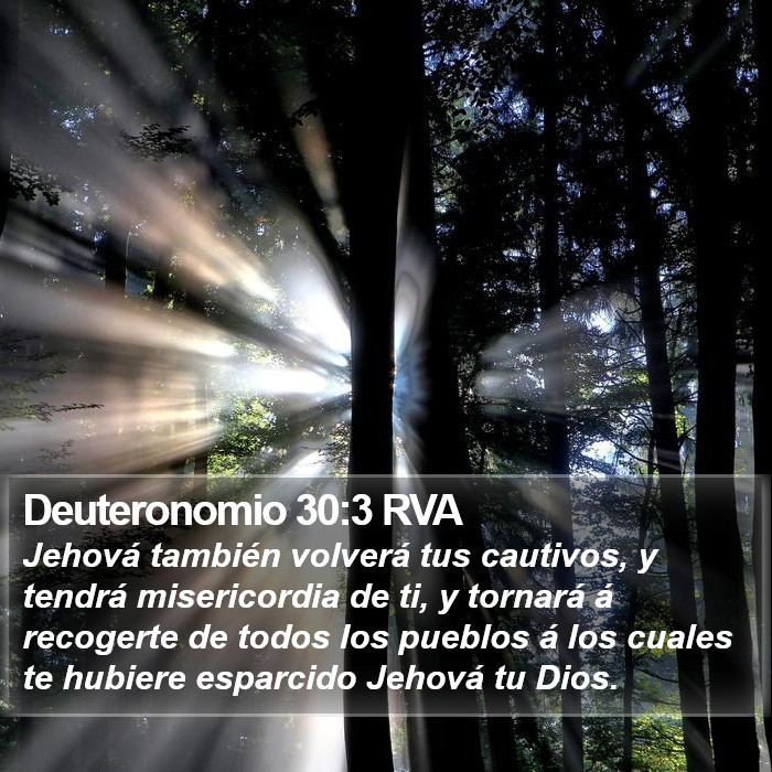 Deuteronomio 30:3 RVA Bible Study