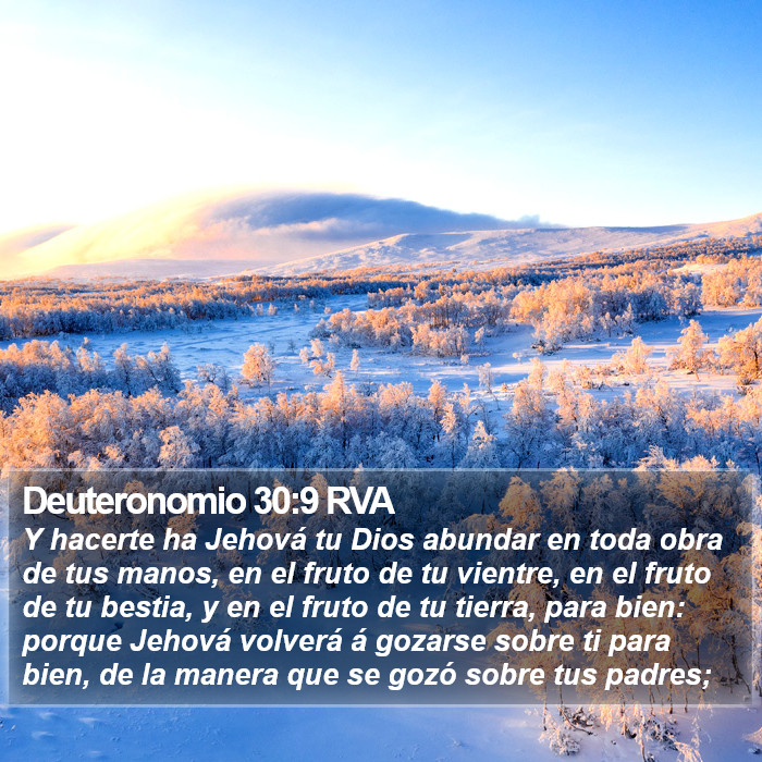 Deuteronomio 30:9 RVA Bible Study