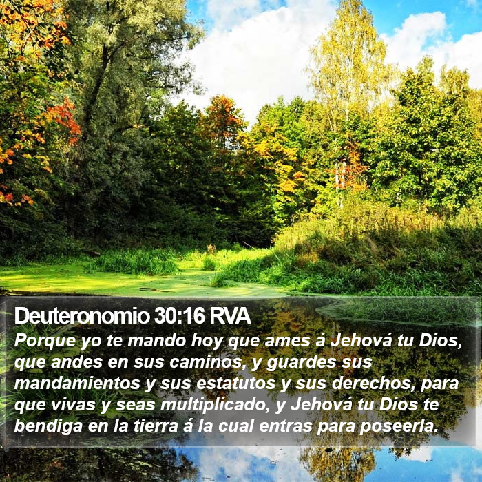 Deuteronomio 30:16 RVA Bible Study