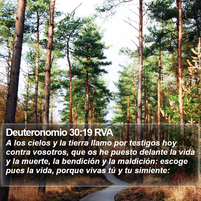 Deuteronomio 30:19 RVA Bible Study