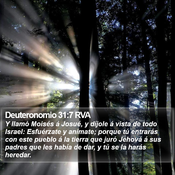 Deuteronomio 31:7 RVA Bible Study