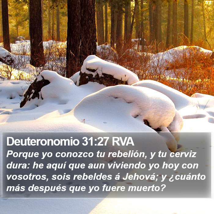 Deuteronomio 31:27 RVA Bible Study