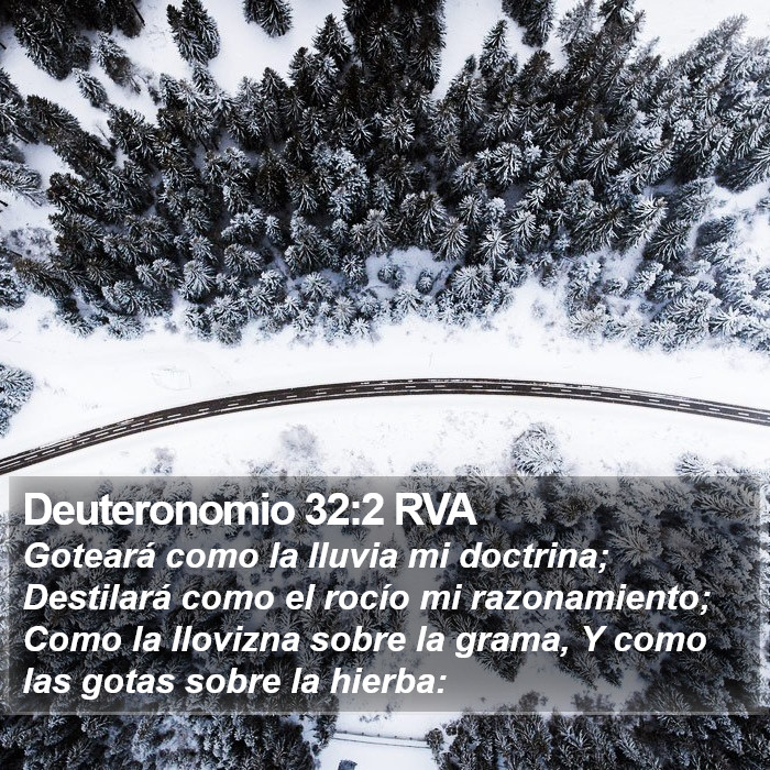 Deuteronomio 32:2 RVA Bible Study