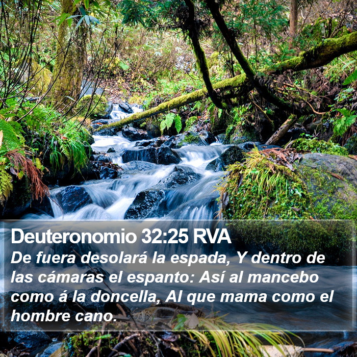 Deuteronomio 32:25 RVA Bible Study