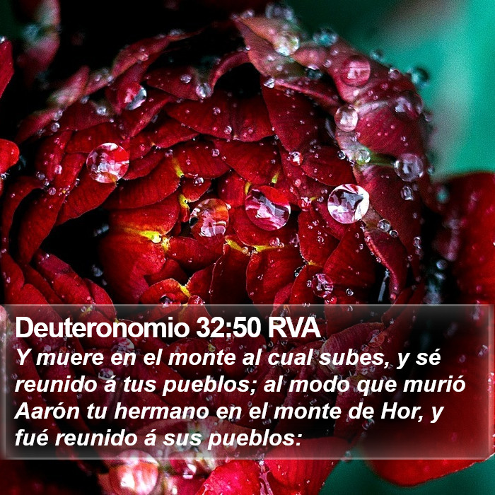 Deuteronomio 32:50 RVA Bible Study