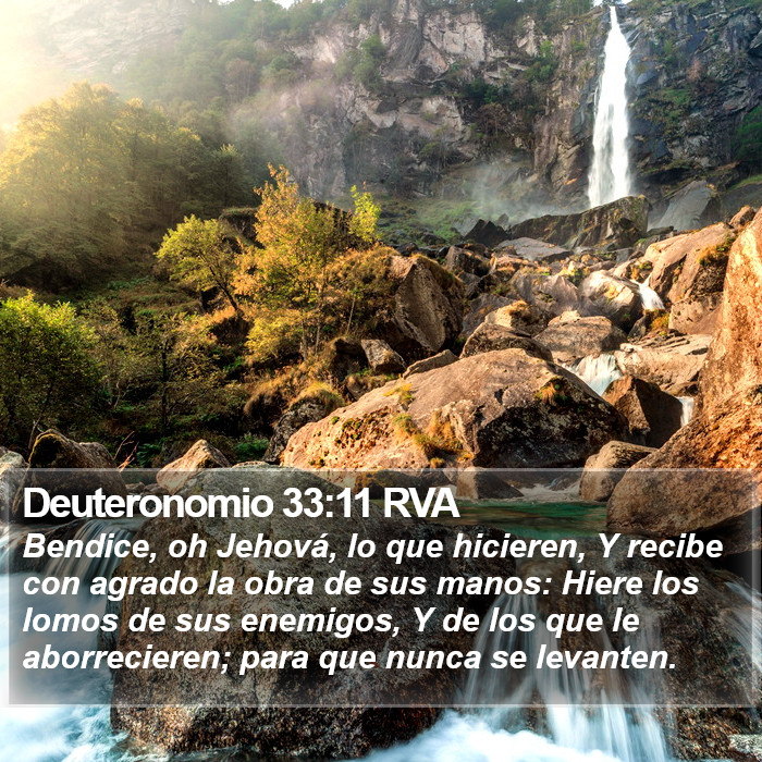 Deuteronomio 33:11 RVA Bible Study