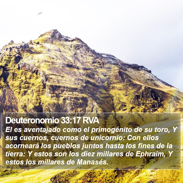 Deuteronomio 33:17 RVA Bible Study