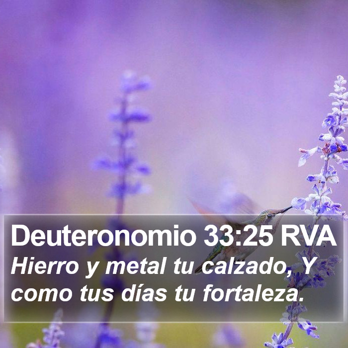 Deuteronomio 33:25 RVA Bible Study