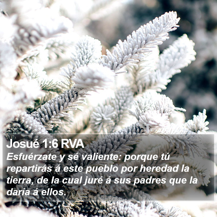 Josué 1:6 RVA Bible Study