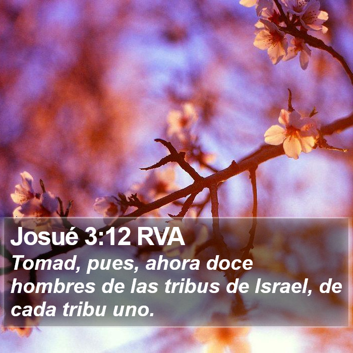 Josué 3:12 RVA Bible Study