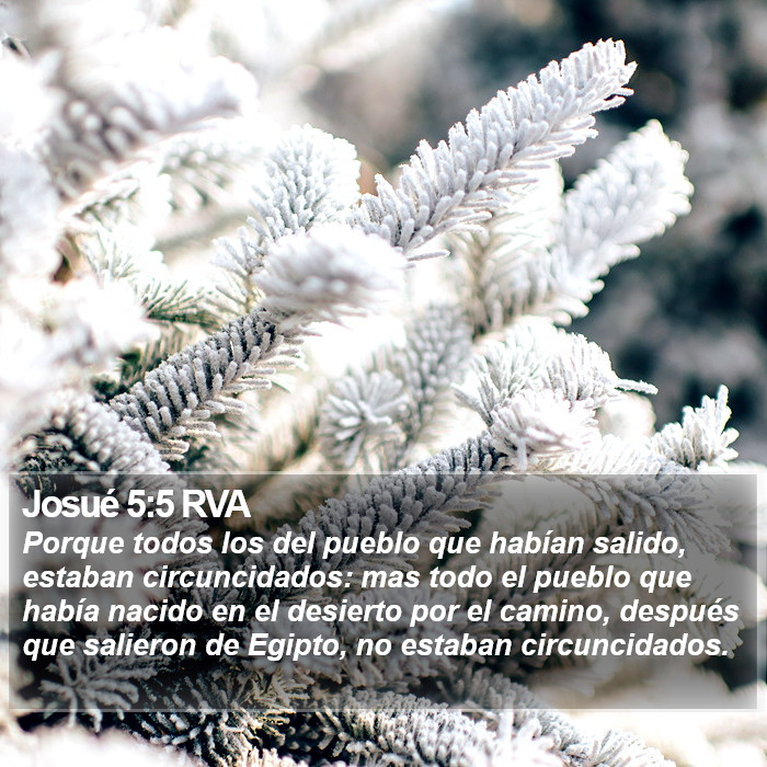 Josué 5:5 RVA Bible Study