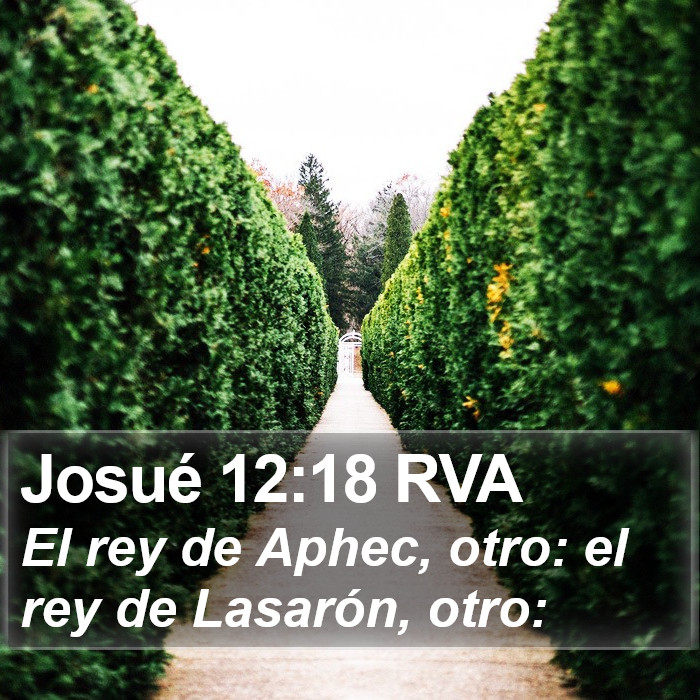 Josué 12:18 RVA Bible Study