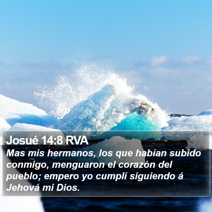 Josué 14:8 RVA Bible Study