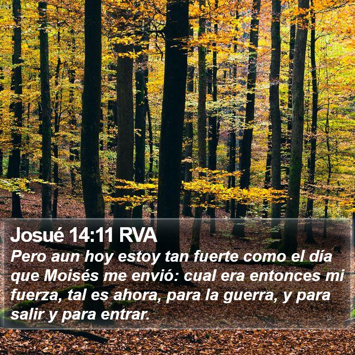 Josué 14:11 RVA Bible Study