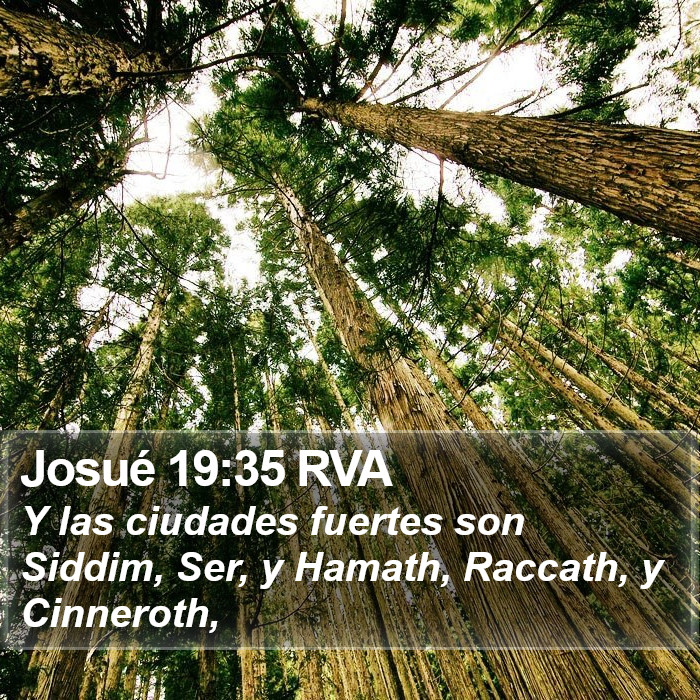 Josué 19:35 RVA Bible Study