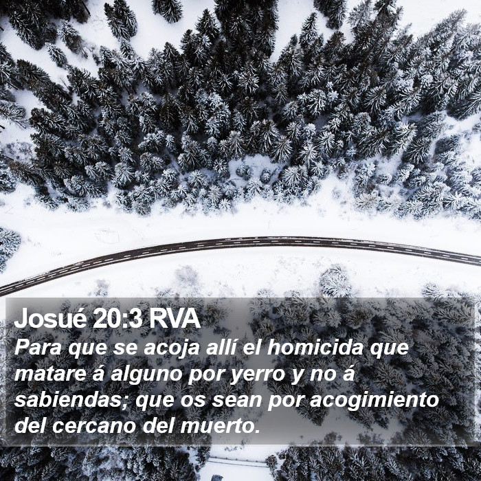 Josué 20:3 RVA Bible Study