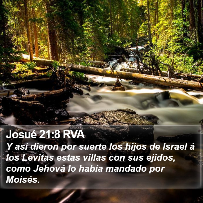 Josué 21:8 RVA Bible Study