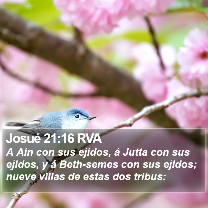 Josué 21:16 RVA Bible Study