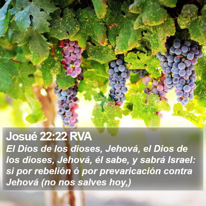 Josué 22:22 RVA Bible Study