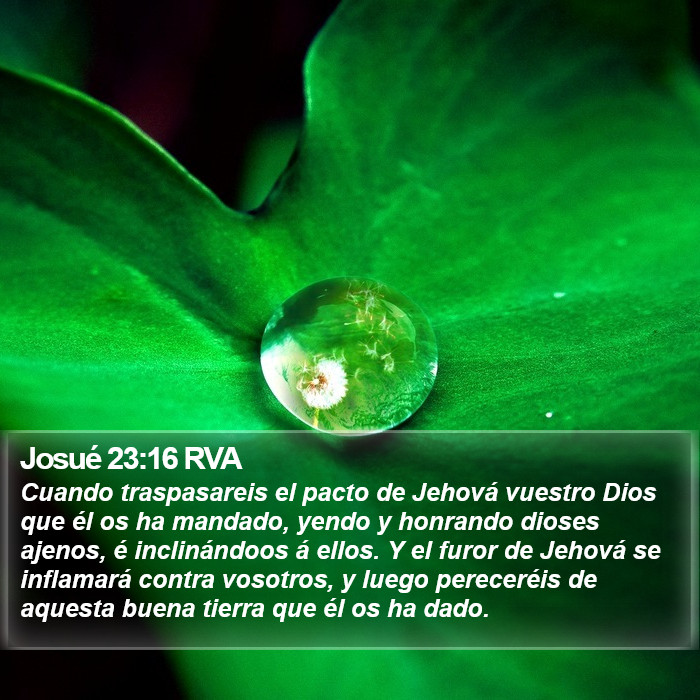 Josué 23:16 RVA Bible Study