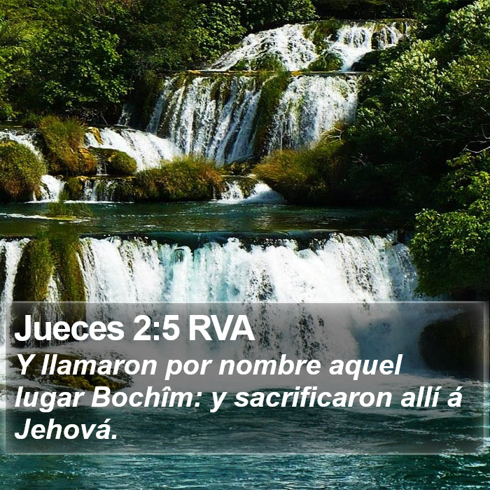 Jueces 2:5 RVA Bible Study