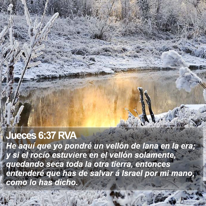 Jueces 6:37 RVA Bible Study