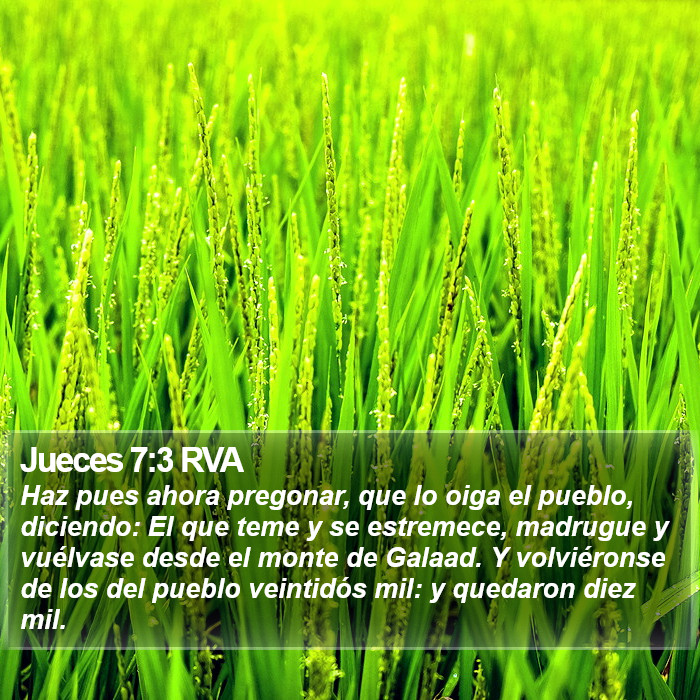 Jueces 7:3 RVA Bible Study