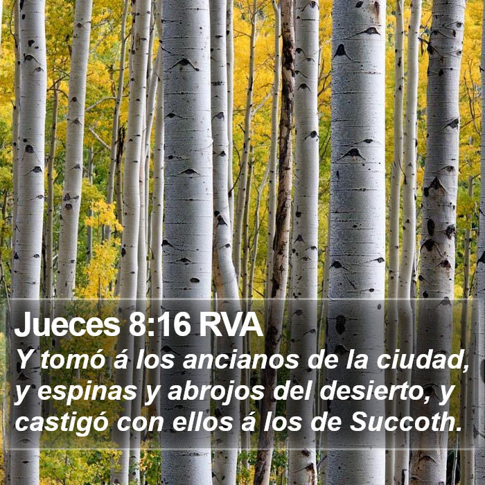 Jueces 8:16 RVA Bible Study