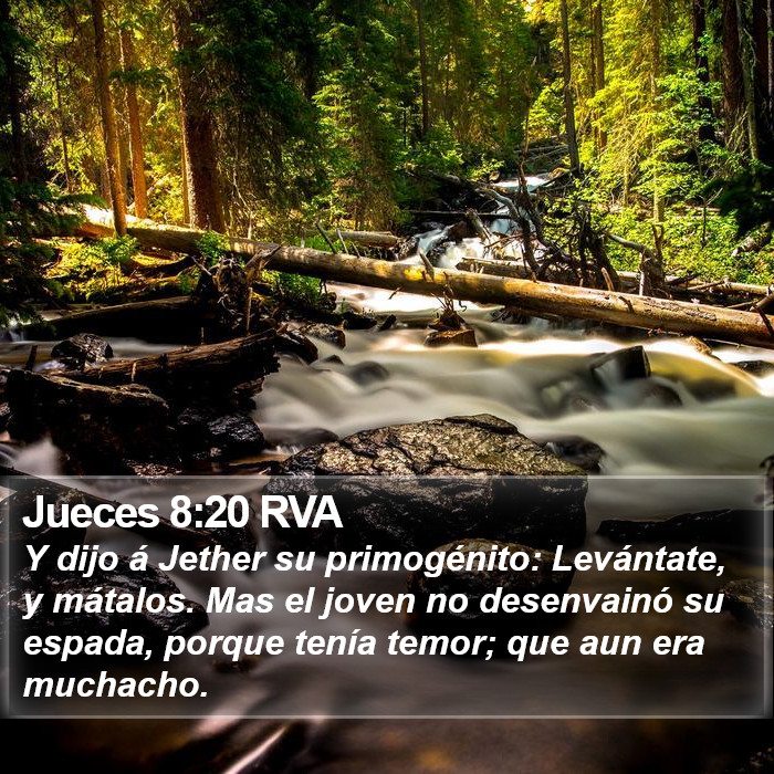 Jueces 8:20 RVA Bible Study