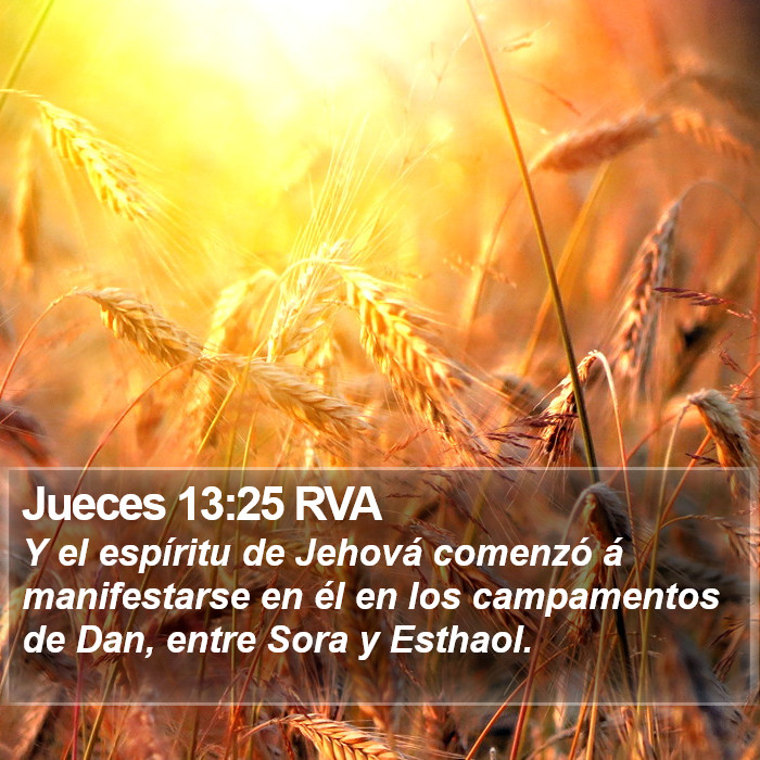 Jueces 13:25 RVA Bible Study