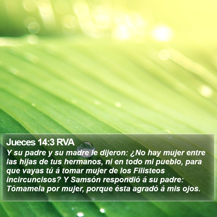 Jueces 14:3 RVA Bible Study