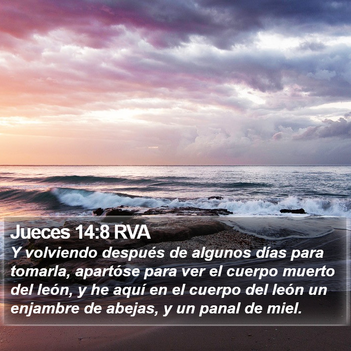 Jueces 14:8 RVA Bible Study