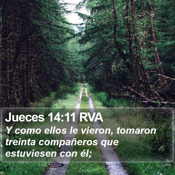 Jueces 14:11 RVA Bible Study