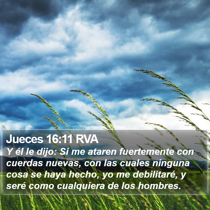 Jueces 16:11 RVA Bible Study