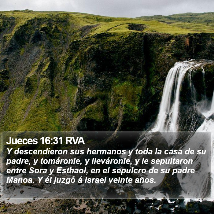 Jueces 16:31 RVA Bible Study