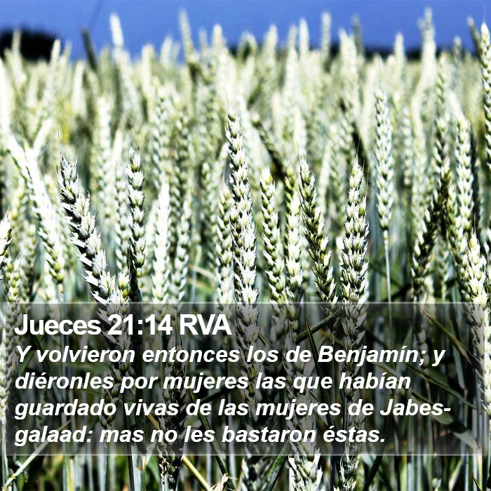 Jueces 21:14 RVA Bible Study