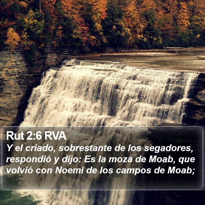 Rut 2:6 RVA Bible Study