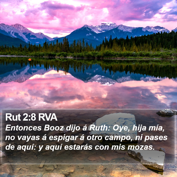 Rut 2:8 RVA Bible Study