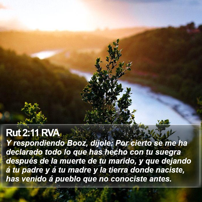 Rut 2:11 RVA Bible Study