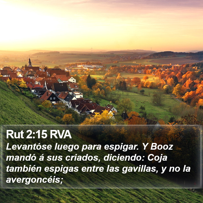 Rut 2:15 RVA Bible Study