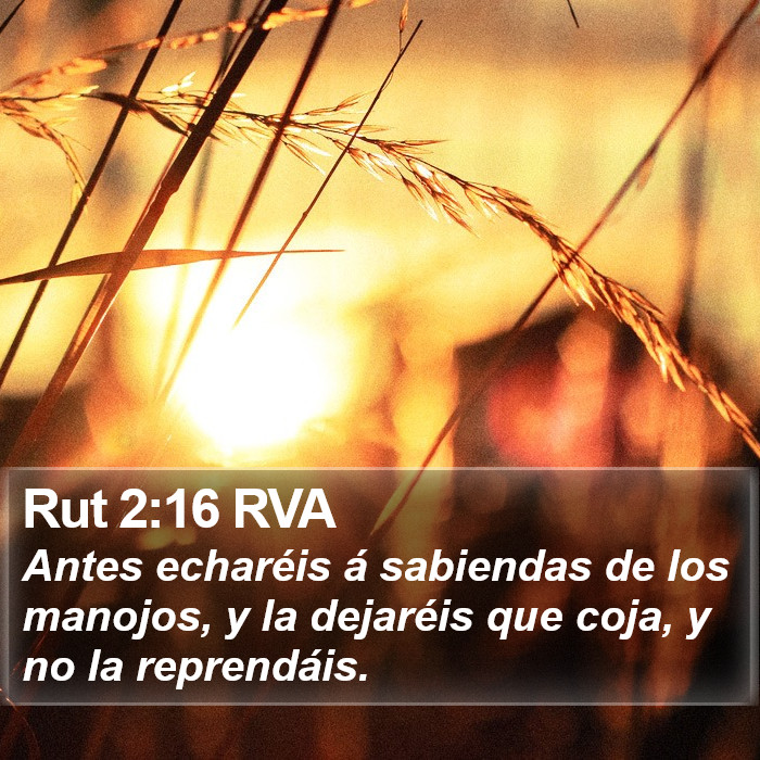 Rut 2:16 RVA Bible Study