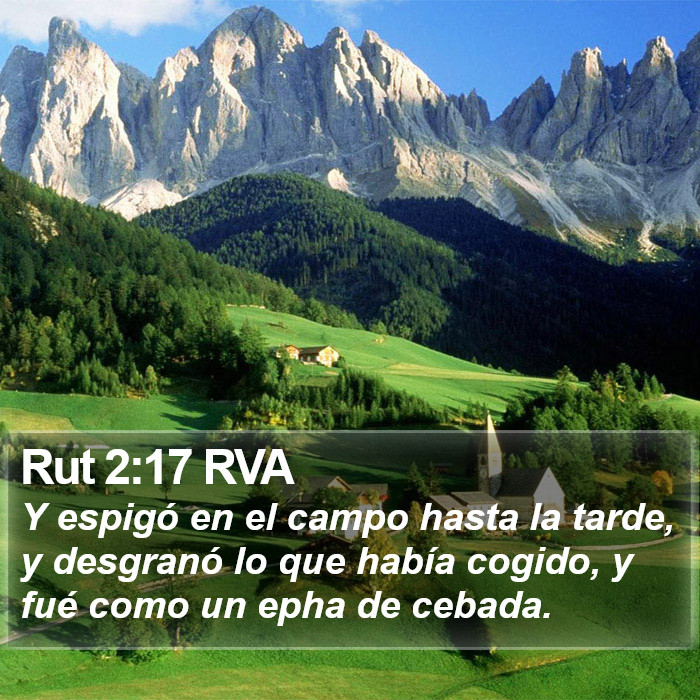 Rut 2:17 RVA Bible Study