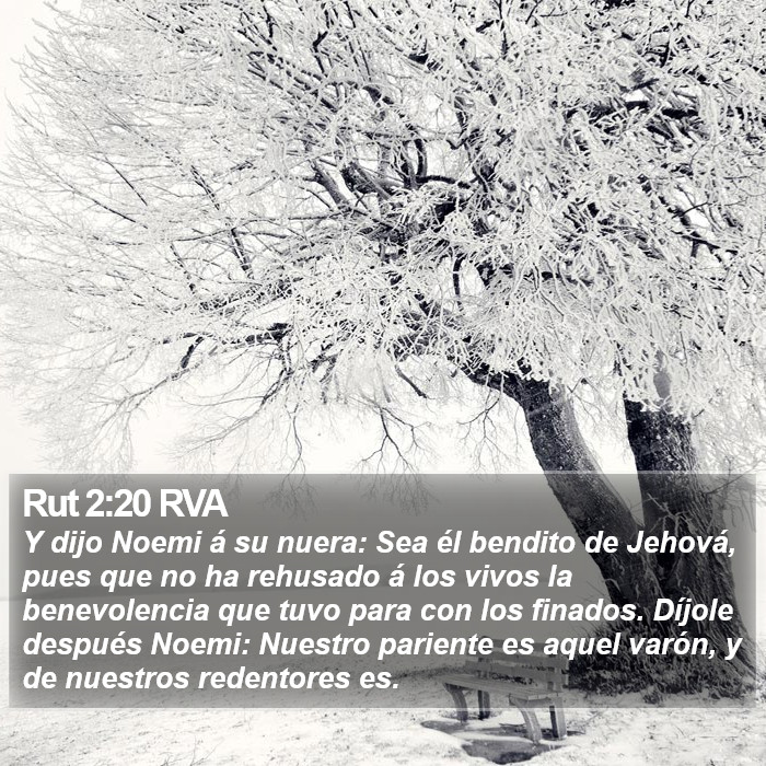 Rut 2:20 RVA Bible Study