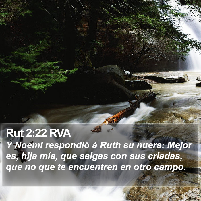 Rut 2:22 RVA Bible Study