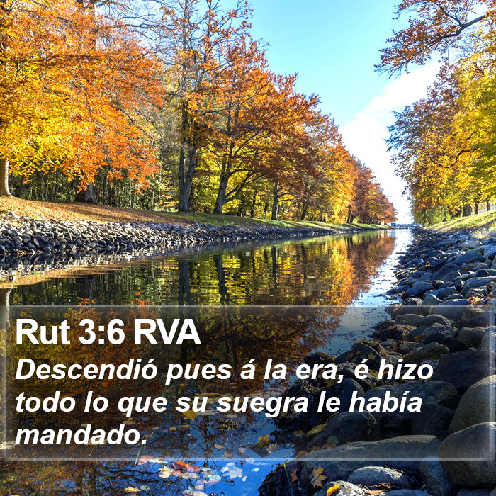 Rut 3:6 RVA Bible Study